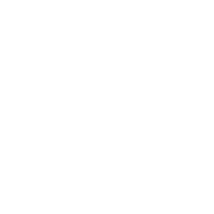 HYUNDAI Marketing Agency
