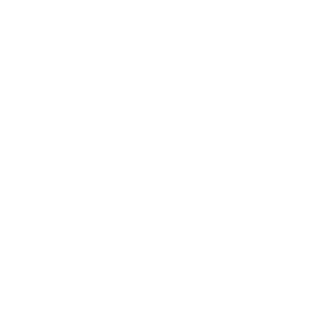 TIGER PISTOL Marketing Agency