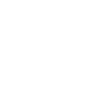 VIRTUS Marketing Agency