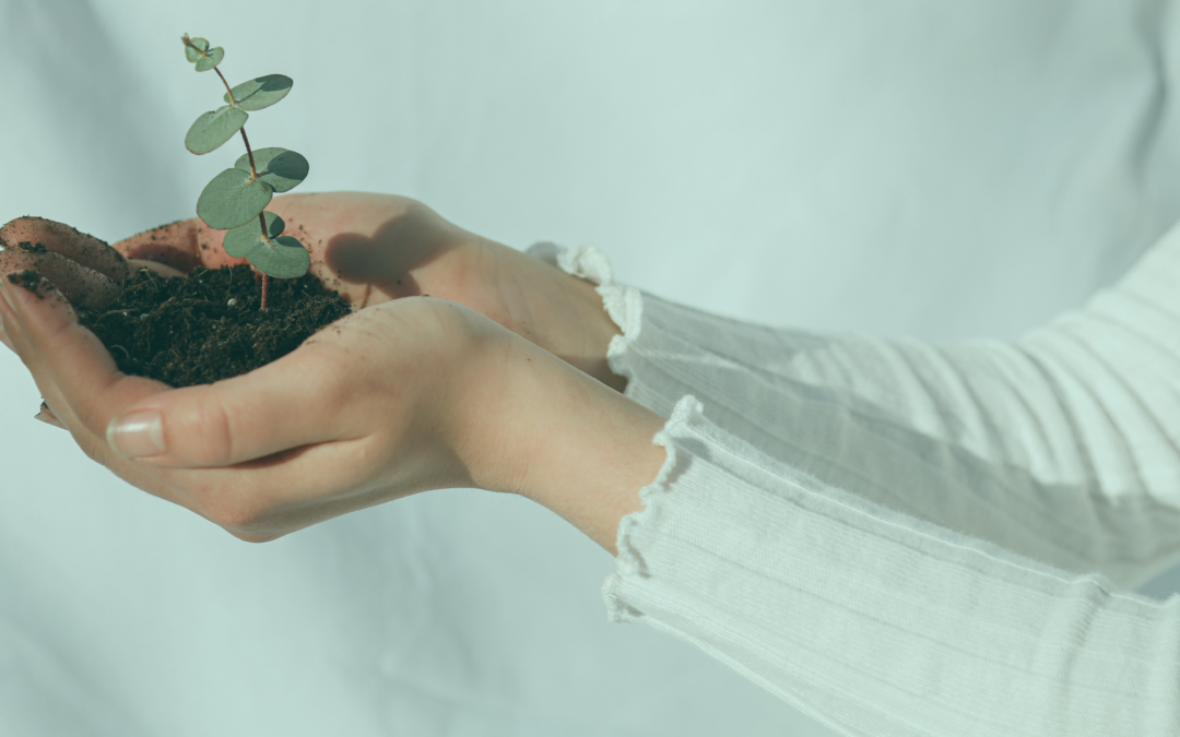 The state of sustainability